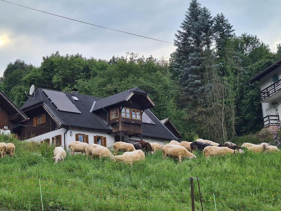 Ferienhaus Beringer Am Kallbach Traunkirchen Dış mekan fotoğraf
